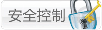 oa演示-安全控制